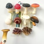 3D Simulation Mushroom Resin Fridge Magnets Display