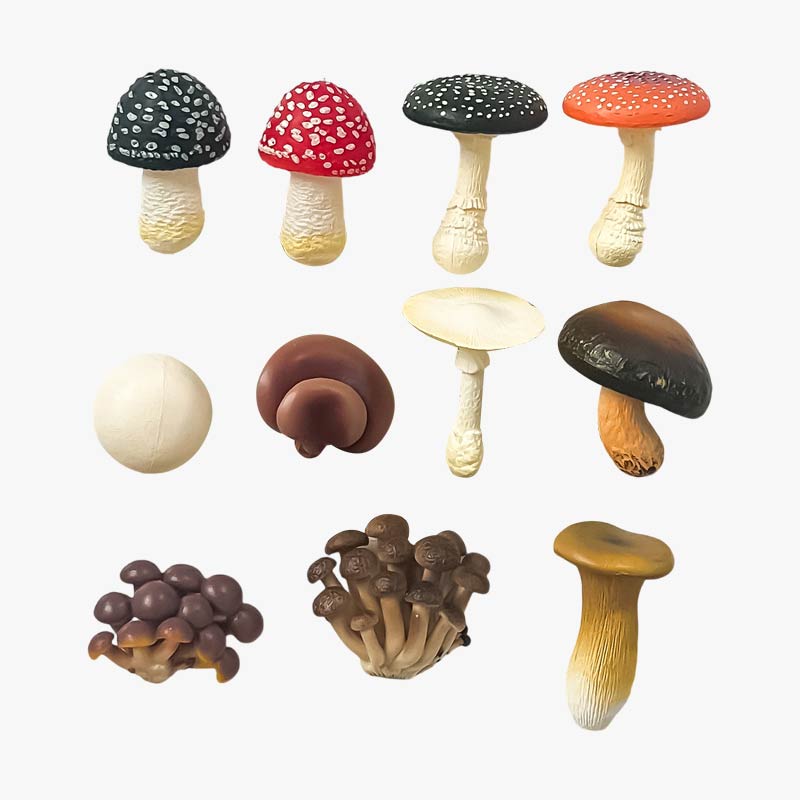 Realistic Mushroom Refrigerator Magnets Collection