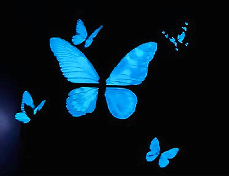 Glow_in_the_Dark_Metal_Refrigerator_Magnet_Butterfly
