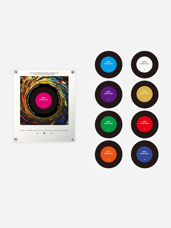 NFC Vinyl Music Magnet Set‑Color Discs600x800