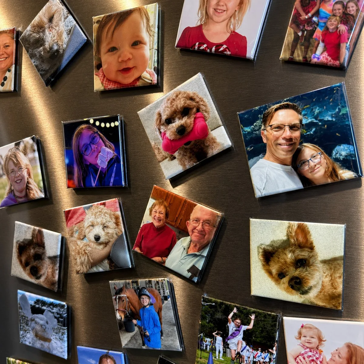 Bulk order of custom photo fridge magnets with family and pet portraits
