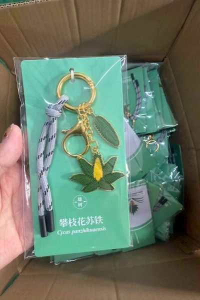Packaged owl keychains inside an export carton