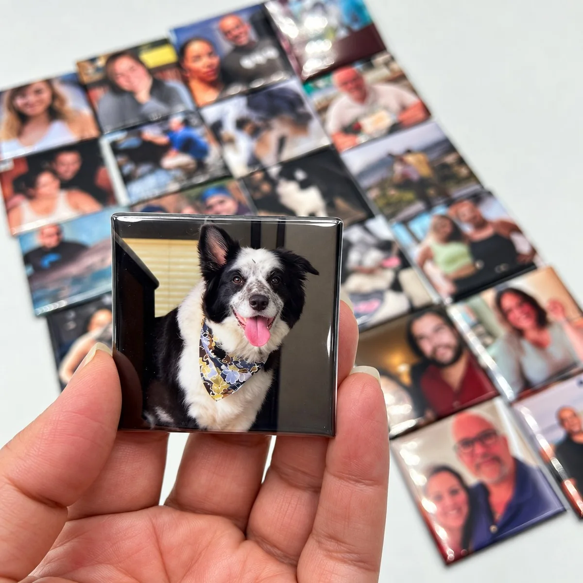 Personalized pet photo magnet held up next to a full spread of customer photo magnets