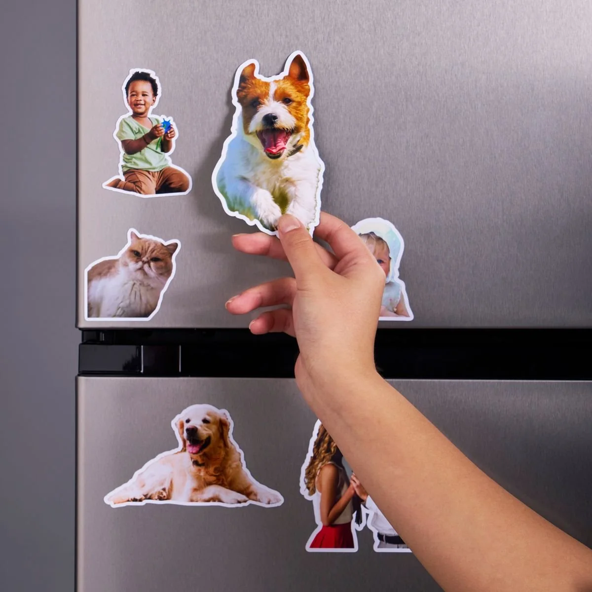 Custom-shaped personalized magnets featuring pets and photo cutouts on a stainless fridge