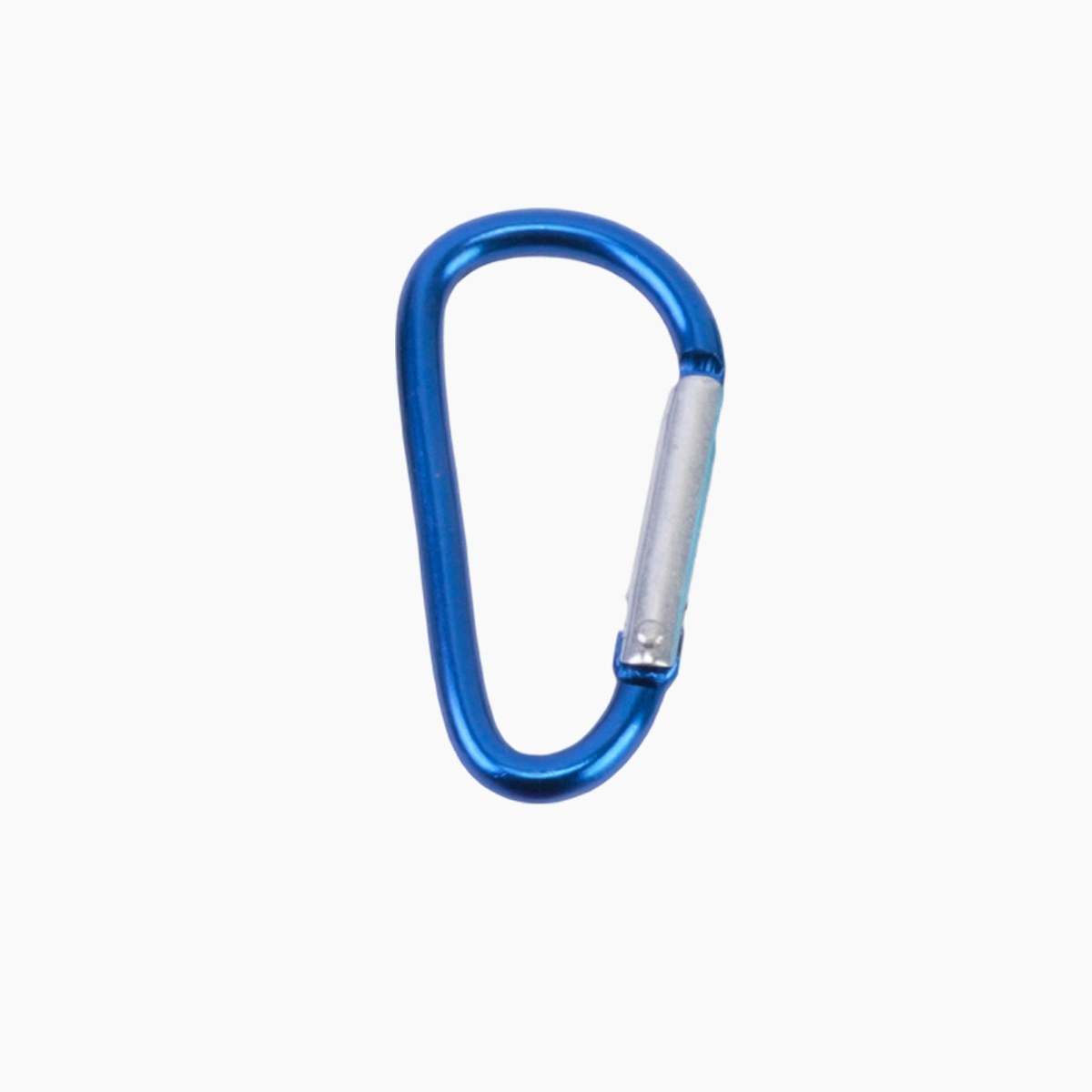 Blue D Type Carabiner Keychain