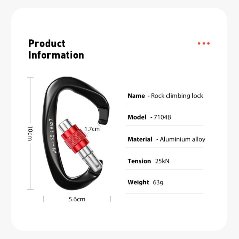 Product information for the carabiner keychains showing 25 kN tension and 63 g weight
