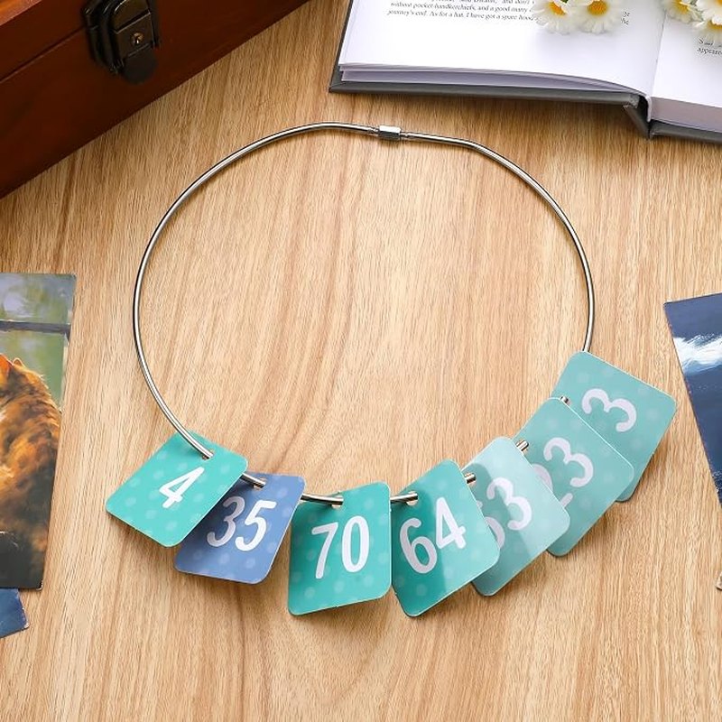 Threaded locking key ring with number tags for key management